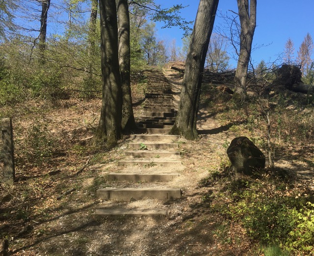 Die Lämmershagener Treppen